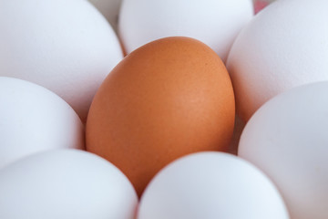 One brown and white eggs in a ceramic dish on a wooden table