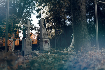Old tombstones ruin in autmn forest, cemetery in evening, night, moon light, selective focus, halloween concept design backgrond, fog, blue toning