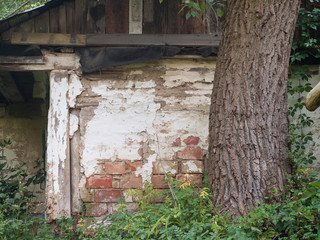 old handmade soviet brick cellar among plants and big tree