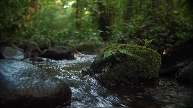 River flowing between srock in amazonian forest. Saul French Guiana