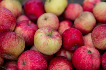 Fototapeta na wymiar red ecological apples