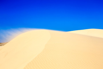 les dunes du vietnam