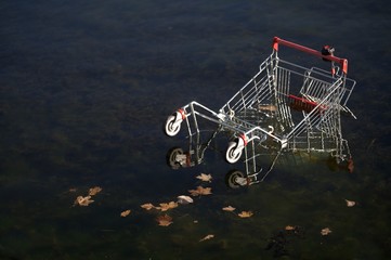 Shopping cart dumped in the ocean