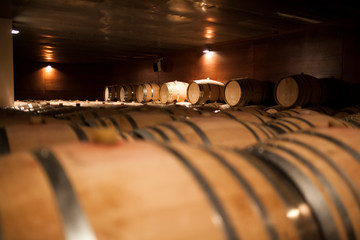 Wine cellar