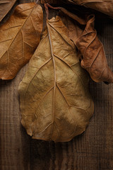 dry leaves on wooden background