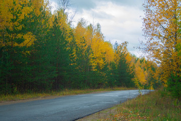 Fototapeta na wymiar Road at autumn