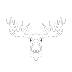 deer head  vector illustration  lining draw  front 