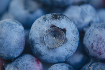 Closeup of plump organic fresh picked blueberries