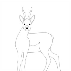 deer  vector illustration  lining draw  front