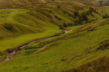 Obraz premium Landscape with green meadow in yorkshire Dale
