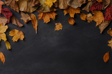 dry leaves on dark background