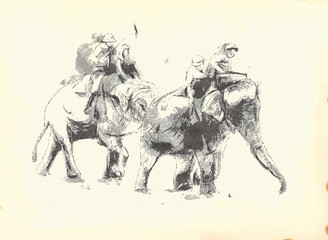 Elephant polo. An hand drawn illustration.