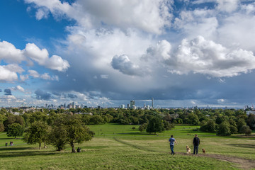 Fototapeta na wymiar Panoramic view of Primrose Hill park in London during the begining of autumn. Modern sightseeing cityscape