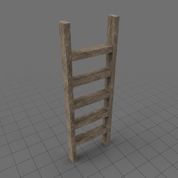 Wooden ladder 1