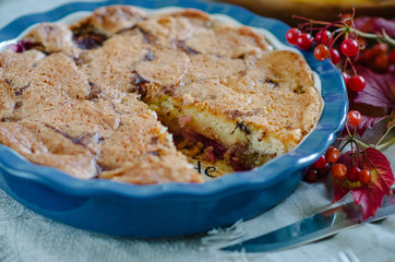 Homemade plum pie, autumn dessert with fresh plums, baking, healthy vegetarian food