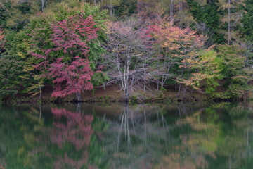湖畔の紅葉