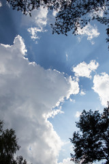 blue sky with clouds