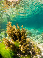 foto acuatica en la superficie con rocas en la costa brava