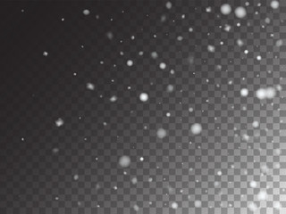 Winter Snowfall Ice Texture Vector Transparent Background. Realistic Snow Confetti Falling Down, Isolated Snowflake Scatter. Random Moving Realistic Snow Confetti, Christmas New Year Frost Decoration.