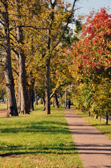 autumn landscape of the Park on the lake in Kaliningrad, Russia.