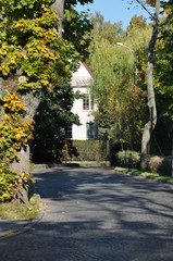 alley of autumn trees to the house