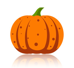 Simple flat vector pumpkin on white glossy surface