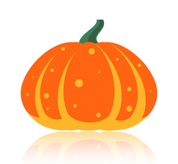 Simple flat vector pumpkin on white glossy surface