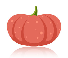 Simple flat vector pumpkin on white glossy surface