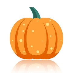 Simple flat vector pumpkin on white glossy surface