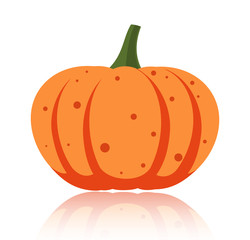 Simple flat vector pumpkin on white glossy surface