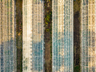 top overhead view of organic greenhouse farm texture background f