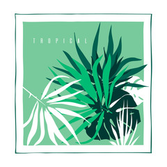 Tropical leaves. Background with palm tree leaf and monstera leaves . Vector illustration.