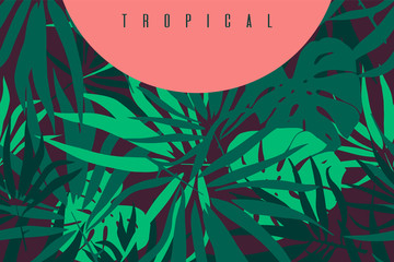 Tropical leaves. Background with palm tree leaf and monstera leaves. Vector illustration.