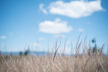 Obraz premium silence in the mountain