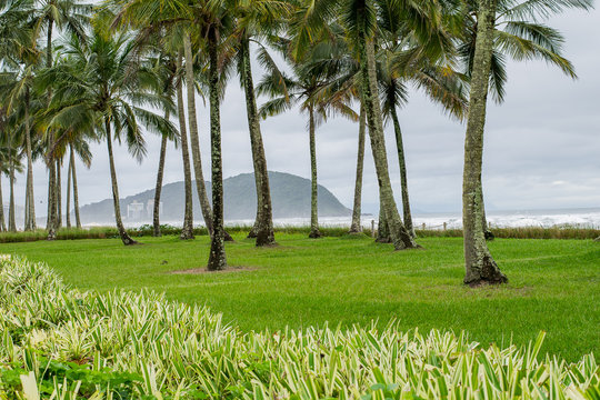Orla da Praia
