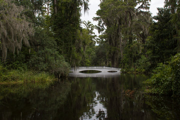 The long white bridge at Magnolia Plantation and Gardens in Charleston, South Carolina.