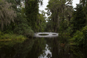 The long white bridge at Magnolia Plantation and Gardens in Charleston, South Carolina. - Powered by Adobe