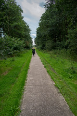 Planted trees in the shape of Cathedral, Land art Flevoland with the woman walking on the end of the path