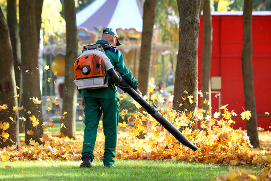 Working in the Park removes autumn leaves with a blower