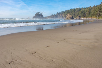 Barefoot footprints on the sandy beach , Olympic NP, Washington state