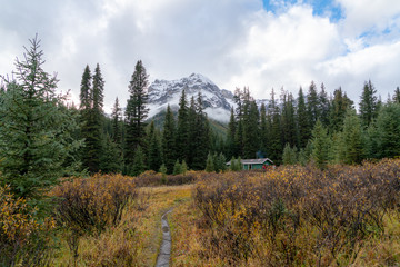 Fototapeta na wymiar Distant Snow Covered Peaks in the foothills of the Canadian Rockies