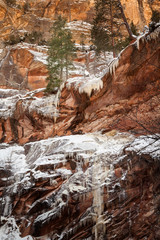 Ice melt in the red rocks of Sedona's West Fork