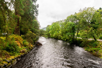 Obraz premium River Eachaig flowing thru Benmore Botanic Garden, Scotland