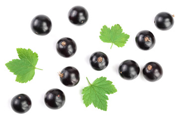 black currant with leaves isolated on white background. Top view. Flat lay pattern