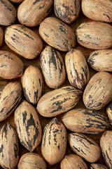 Closeup small cluster of pecans in shells.