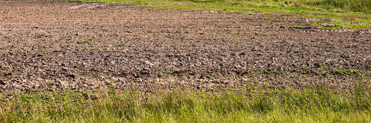 Field for sowing in the grass
