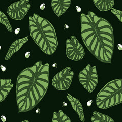 Seamless Tropical Pattern. Trendy Background with Rain Forest Plants. Vector Leaf of Alocasia. Araceae. Handwritten Jungle Foliage in Watercolor Style. Seamless Exotic Pattern for Textile, Fabric.