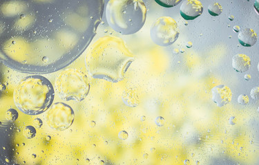 Macro oil and water multi colored abstract background