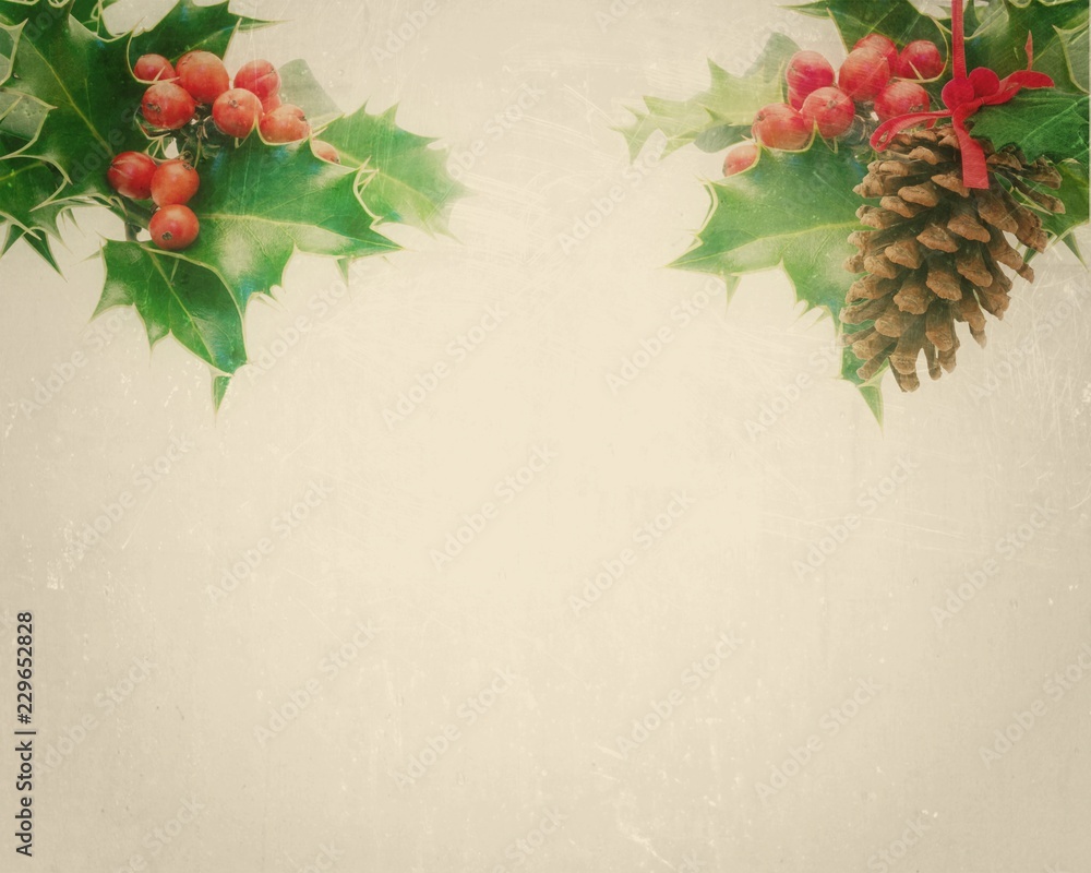 Canvas Prints Holly and Pine