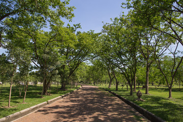 Stone Pathway shadow sunlight in the Green Park